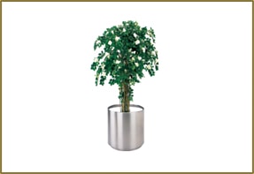 Tree Potv FWP-T-20